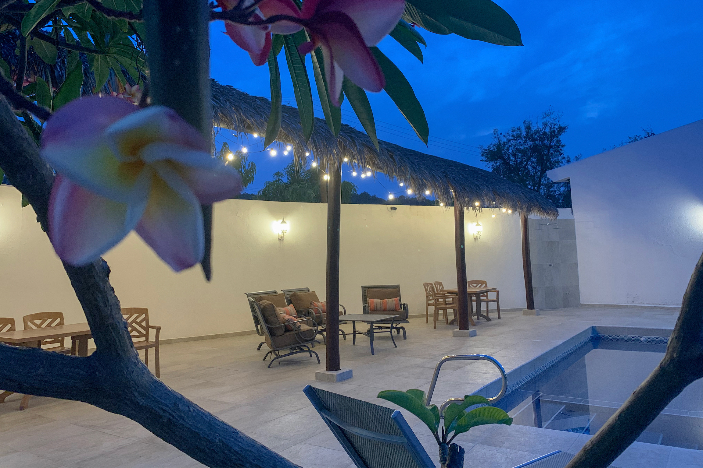 Jardines tropicales
